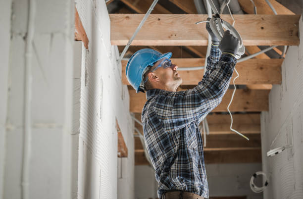 Best Electrician for Home Renovation  in Dutch Island, GA