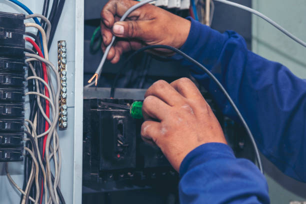 Best Licensed Electrician  in Dutch Island, GA